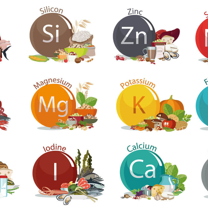 L'importance des minéraux, avantage du plasma marin