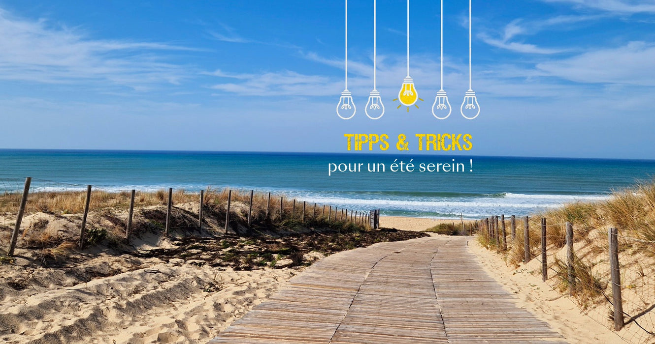 Plasma marin : 1'001 astuces