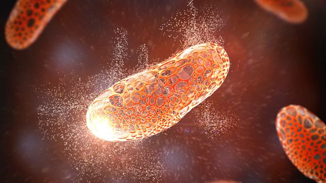 Glycation et inflammation cellulaire